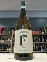 Fonte Soave Classico DOC 2024 - Canoso