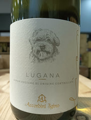 Lion Lugana DOC 2023 - Accordini Igino