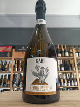 Terra Merita Prosecco Valdobbiadene Superiore DOCG Extra Dry Rive di Guia - Gabe
