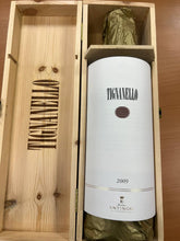 Tignanello Magnum 2009 - Tenuta Tignanello