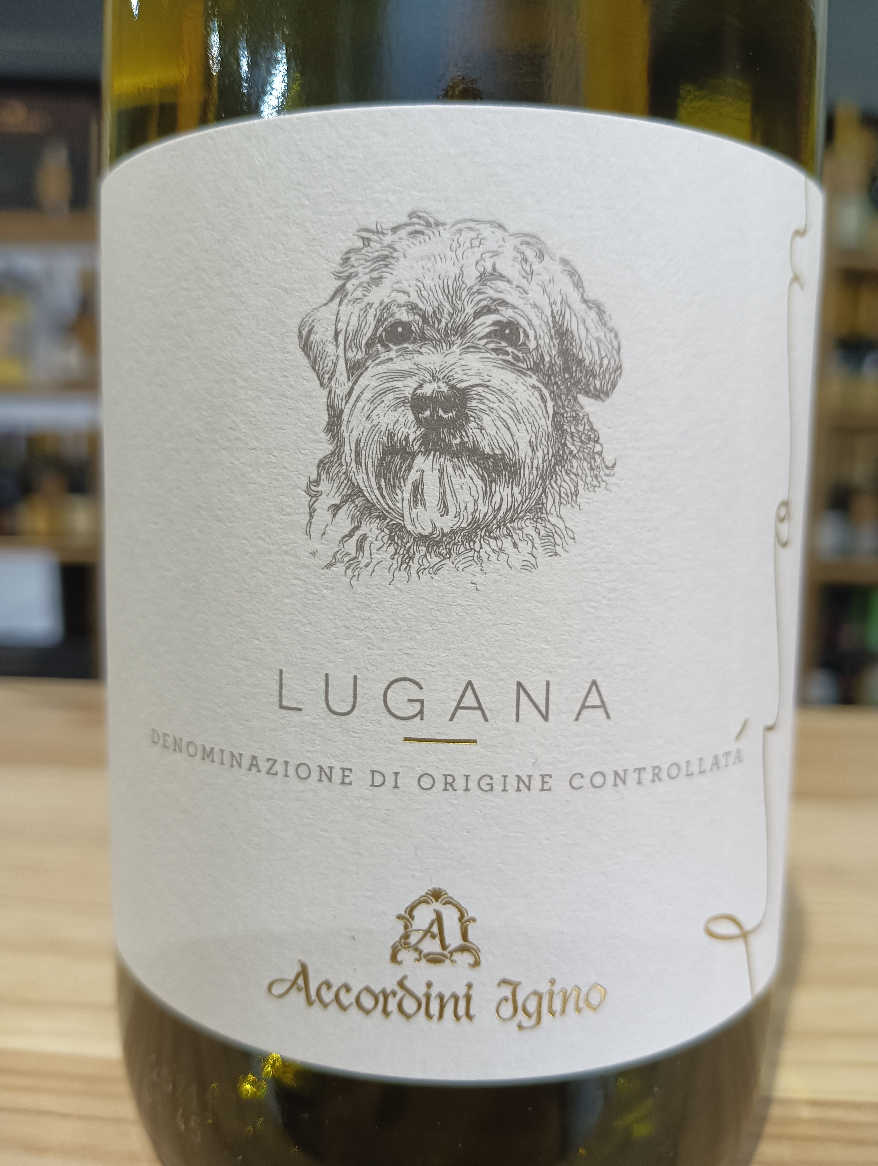 Lion Lugana DOC 2024 - Accordini Igino