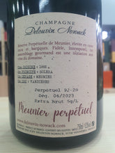 Carica l&#39;immagine nel visualizzatore Galleria,Champagne Extra Brut &quot;Meunier Perpétuel&quot; - Delouvin Nowack