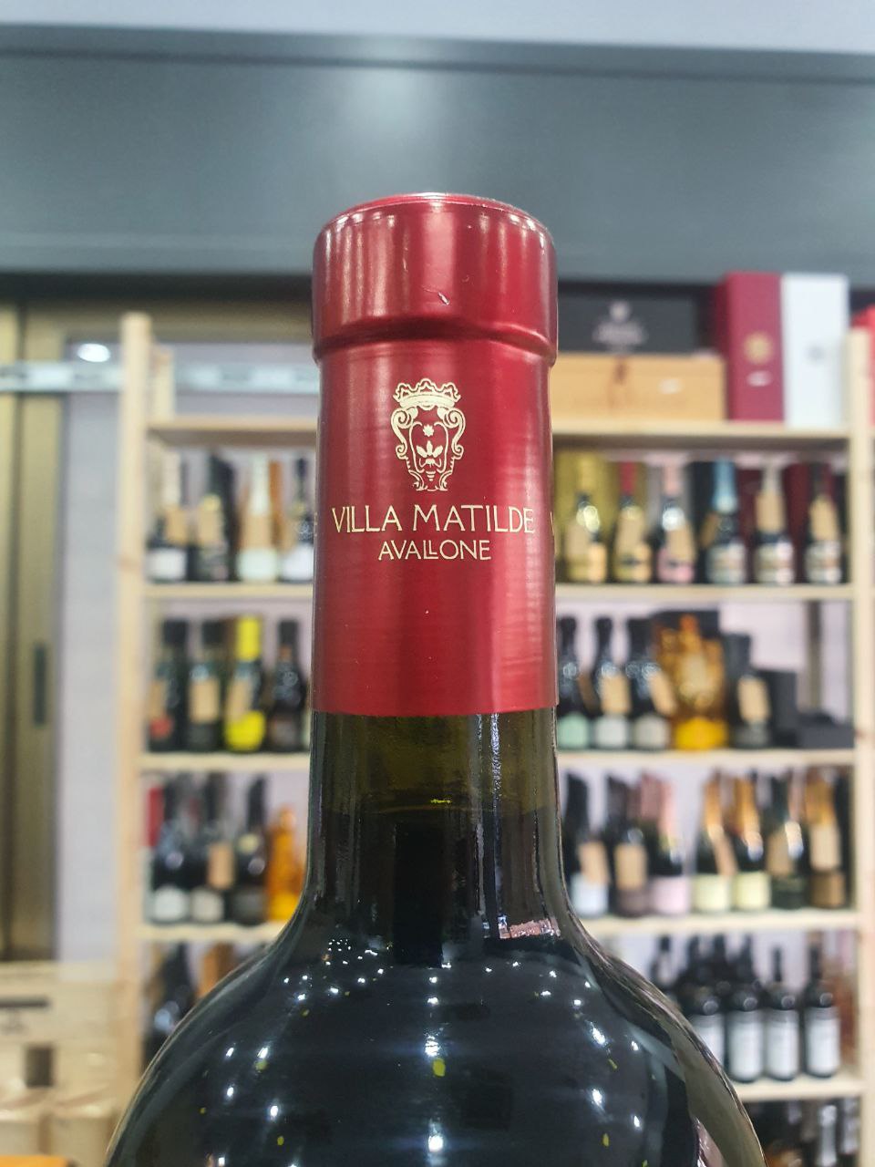 Stregamora Piedirosso Roccamonfina IGP 2021 - Villa Matilde