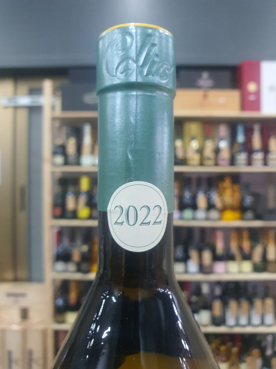 Muzic Malvasia 2022