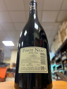 Pinot Nero Castello Della Sala 2020 Antinori