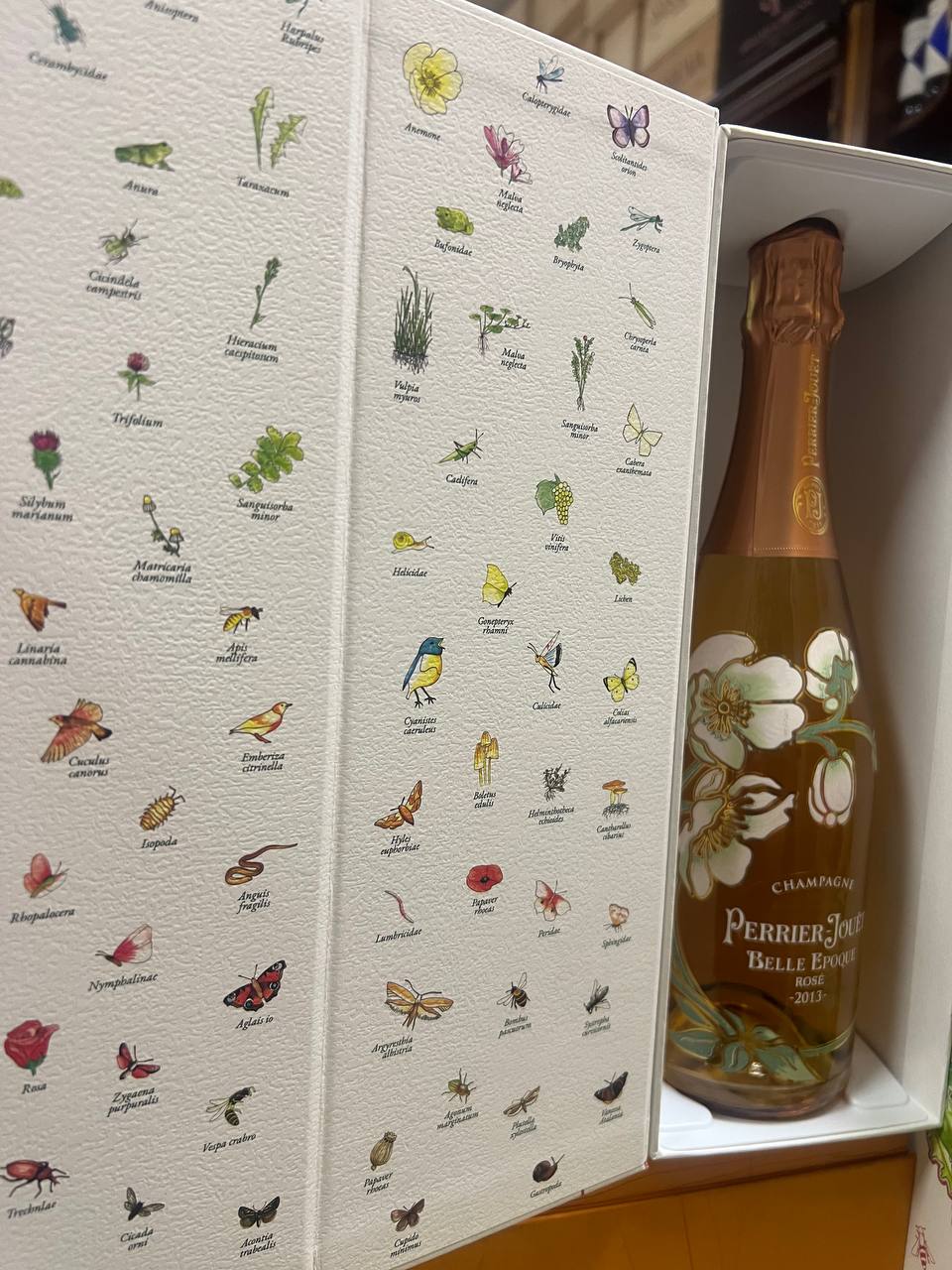 Perrier-Jouët Belle Epoque Rosé 2013 - Con Cofanetto