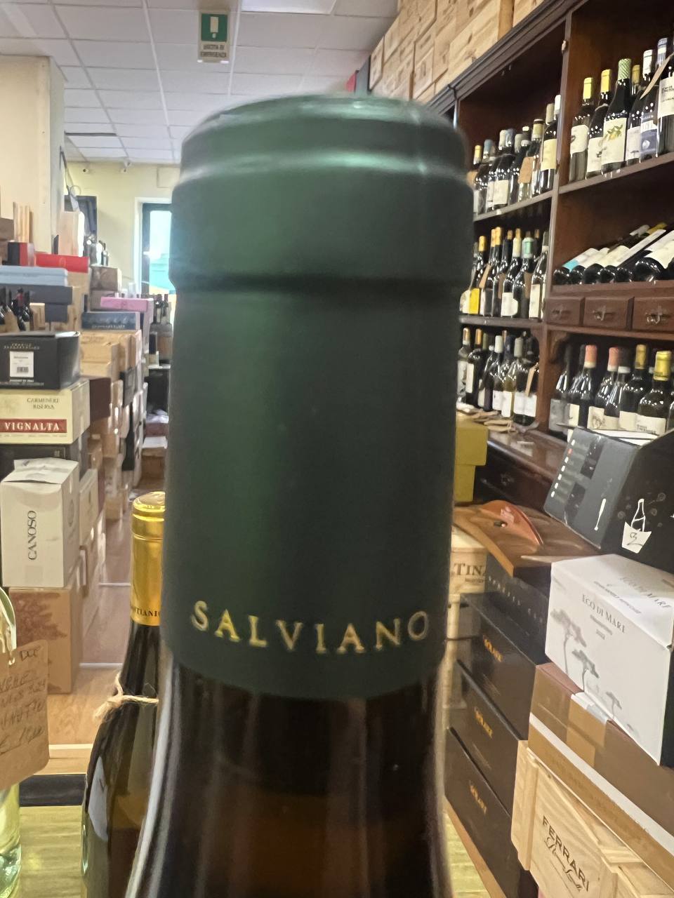 Rigogoli 2019 Salviano - Umbria Bianco IGT