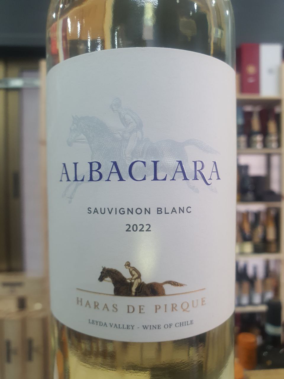 Sauvignon Blanc 2022 - Haras de Pirque