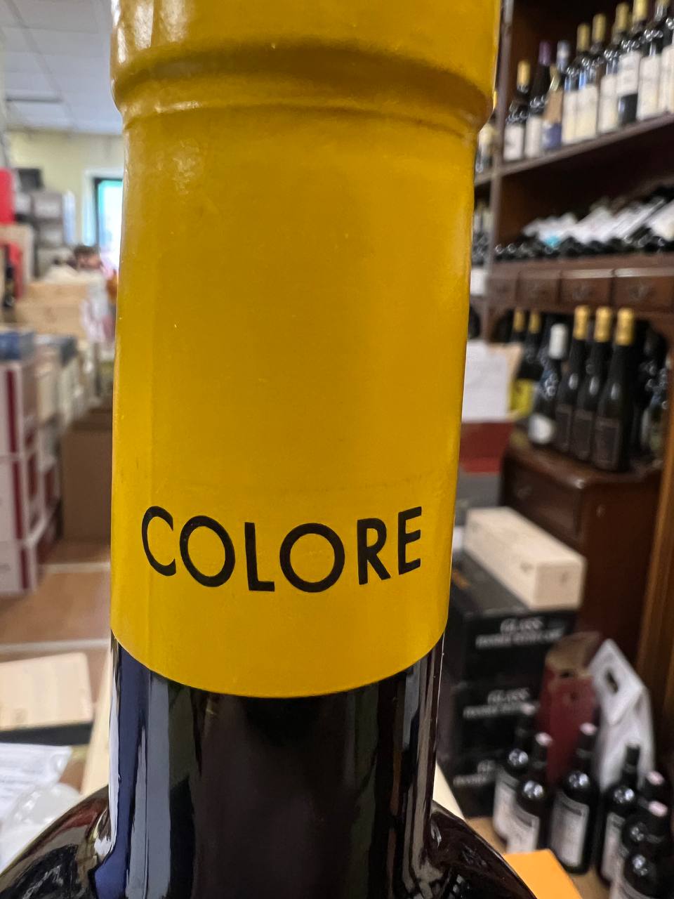 Bibi Graetz Colore 2020